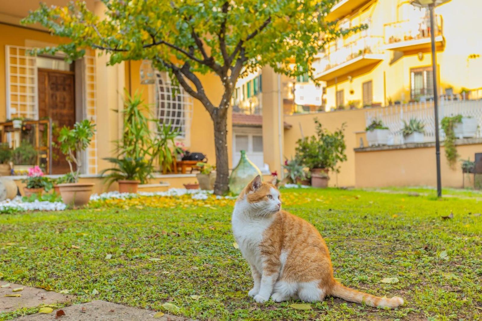 Villa Gatta Roma Dış mekan fotoğraf